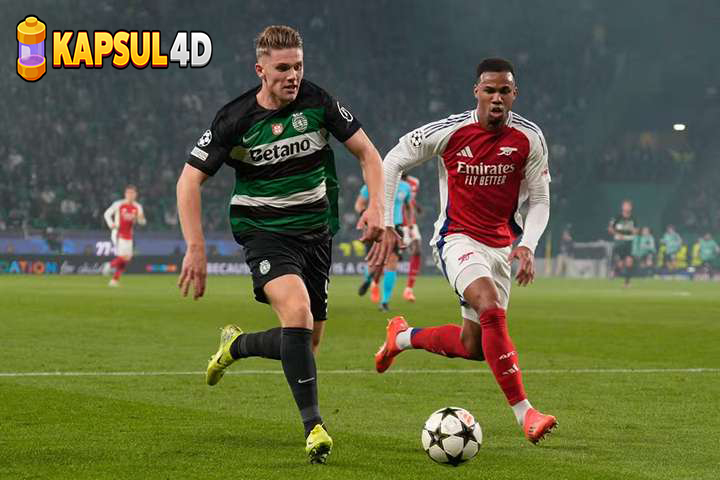 0f37b201-70ee-46c3-86e7-35005d324a7d_11zon