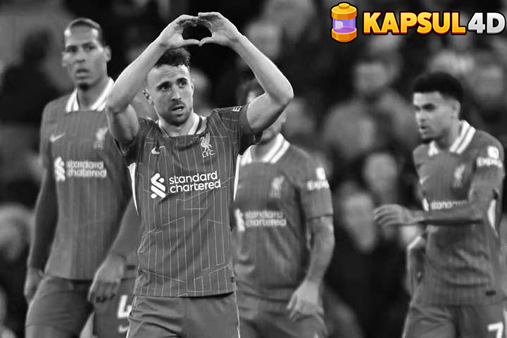 29c938fa-1a12-4d94-8228-5ddb5f89764b_11zon