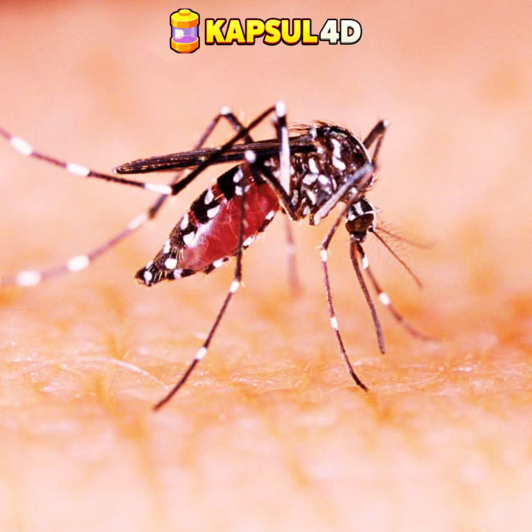 RUANGMASUK.COM - 2025-07-30T191909.669