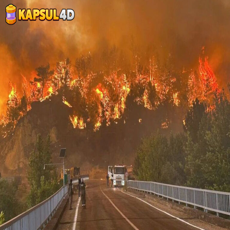 Untitled-1rtdnnh5tnh