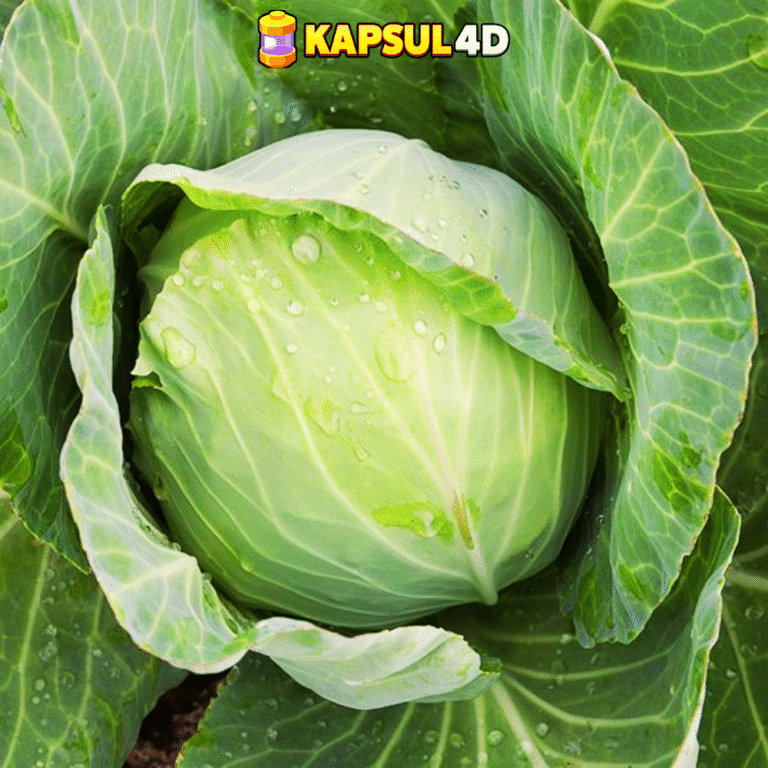 RUANGMASUK.COM - 2025-08-06T091431.338