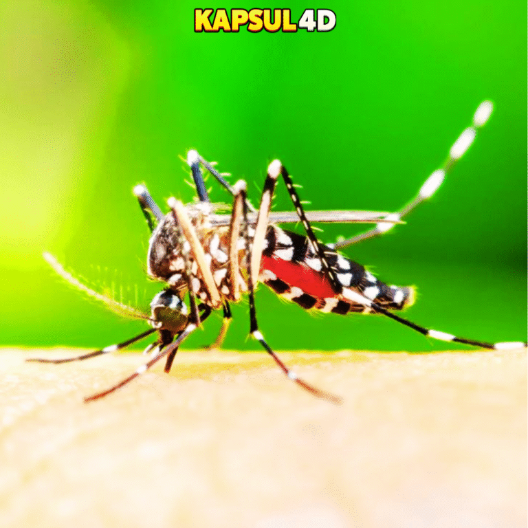 RUANGMASUK.COM - 2025-09-25T032900.435