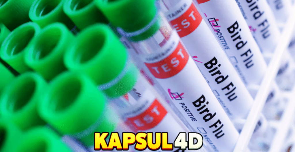 RUANGMASUK.COM-2025-10-23T050723.235-1024x529.png