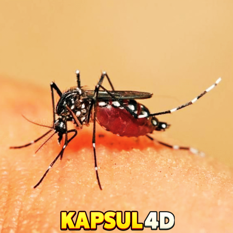 RUANGMASUK.COM - 2025-10-24T055813.451