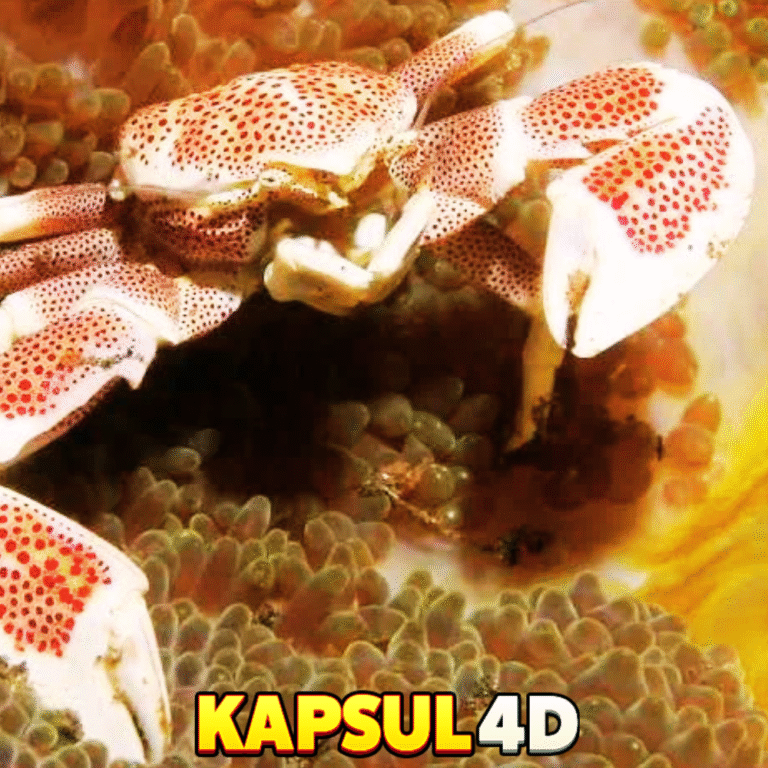 RUANGMASUK.COM - 2025-10-31T041416.271