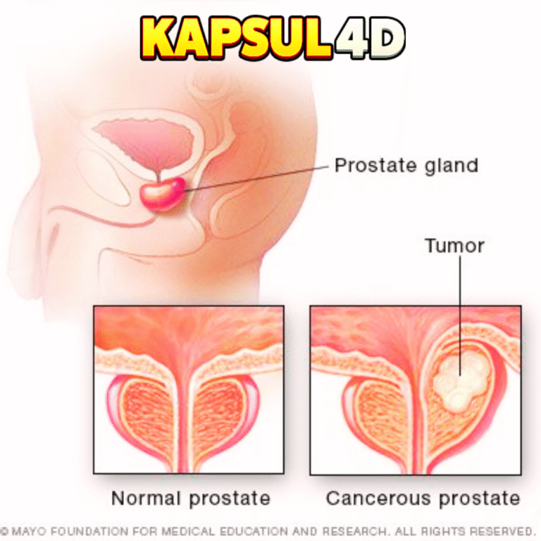 RUANGMASUK.COM (74)