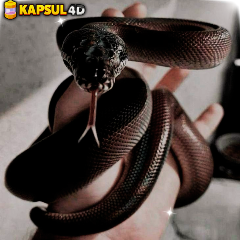 RUANGMASUK.COM (39)