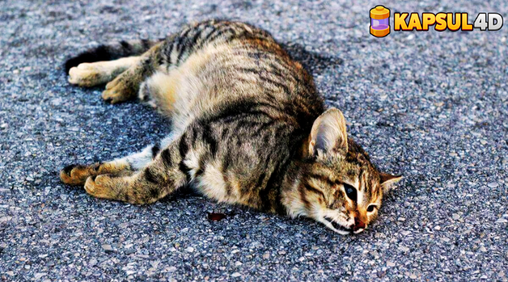 Desain tanpa judul (20)