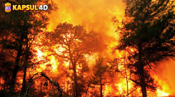 Desain tanpa judul (3)