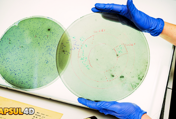 Desain tanpa judul (41)